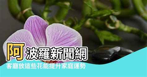 客廳放花|客廳可以放花嗎？客廳擺花風水禁忌與注意事項 